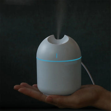 Portable Mini USB Air Humidifier with LED Night Lamp